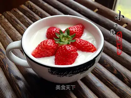 Bread machine homemade yogurt