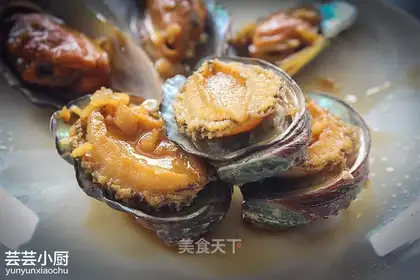 Japanese abalone