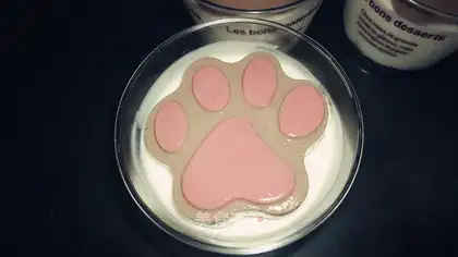 Cat's claws, pudding, cheese cake