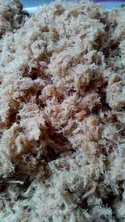 Meat pine