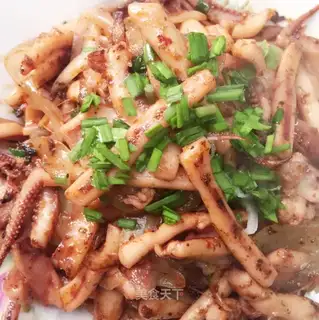 Onion squid