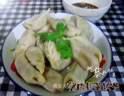 Pork dumplings