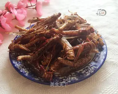 Fried insects