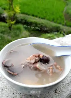 Squid octopus