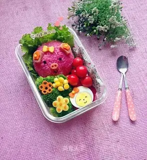 Little pig's lunch