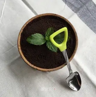 The yogurt plant