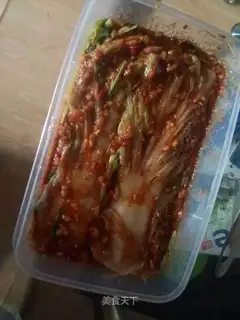 Korean cabbage