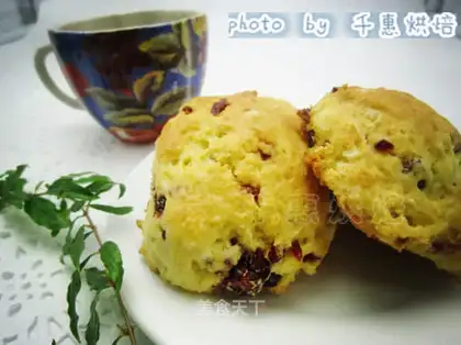 raisin scon