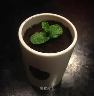 The yogurt plant