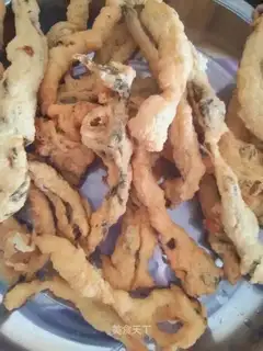Salmon