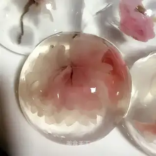 Hydra