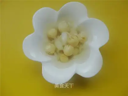 Lotus lilies