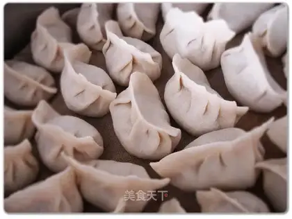 carrot beef dumplings