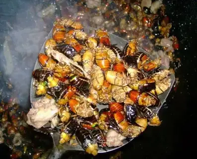 stir-fried insects