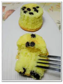 Blueberry sponge cake