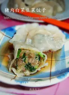 Pork and leek dumplings