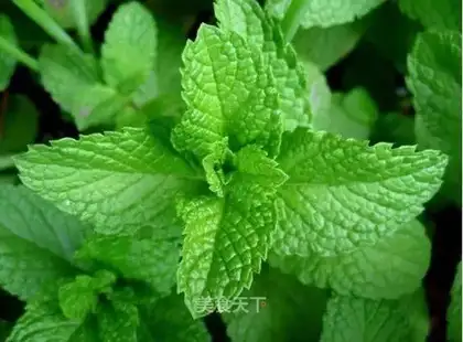 Mint toast