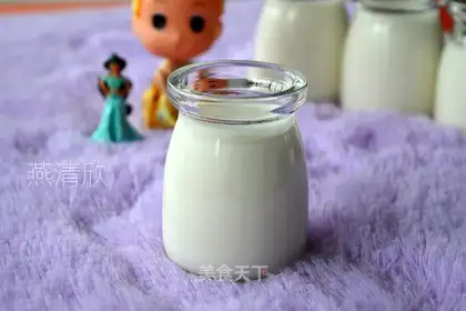 Homemade honey yogurt