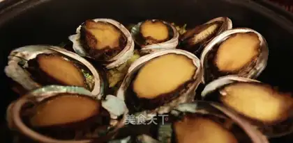 Abalone food