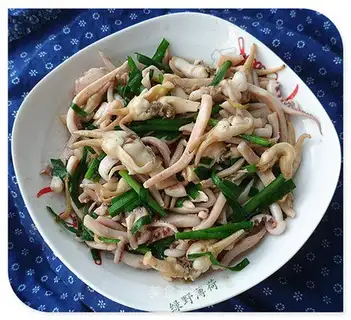 Squidfish