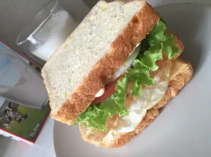 Cheese sandwich