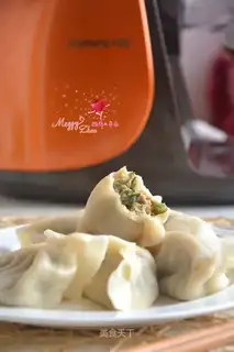 Cucumber beef dumplings