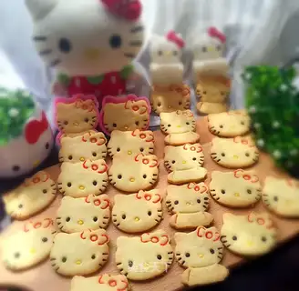 Katie Cat Chocolate Biscuit
