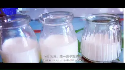 Artisanal yogurt