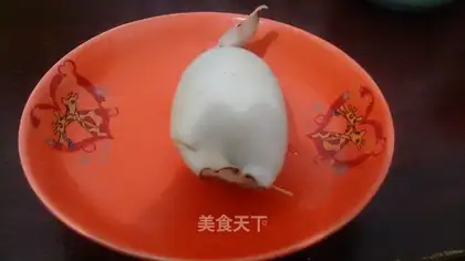 Squidfish
