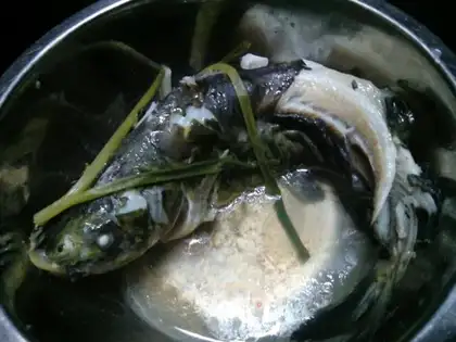Scorch fish