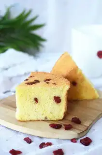 Yogurt cranberry