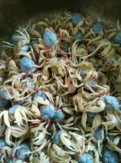 Crab juice