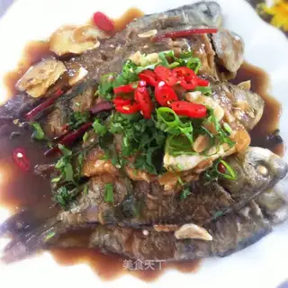 Red-hot wild mackerel