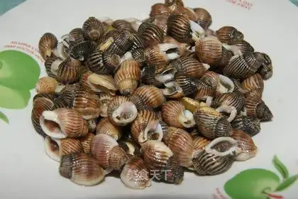 stir-fried white snails