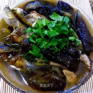 Wild catfish eggplant