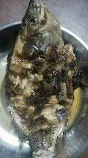 Fish