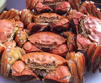 Crabs