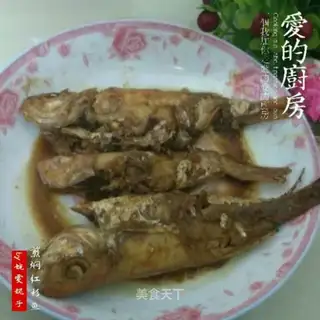 Red Shirt Fish