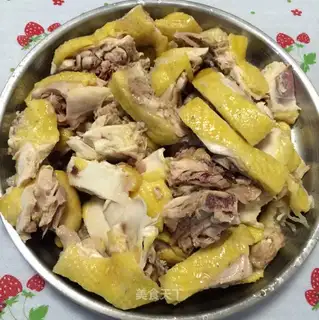 The yellow and white chicken