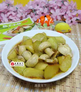 Mushrooms boil and bloom at night