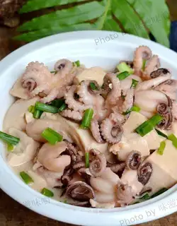 The octopus tofu