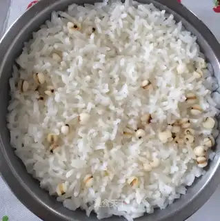 Rice rice