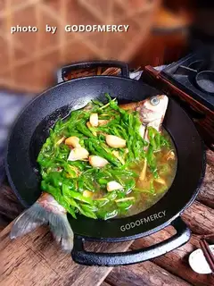 Red-burned mackerel