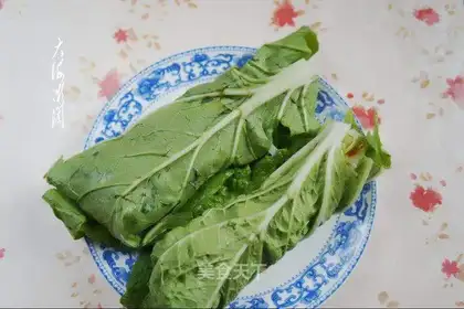 The cabbage
