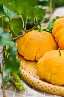Pumpkin bread