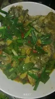 Creamfish