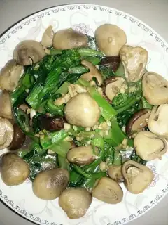 Twin mushrooms and oily flowers