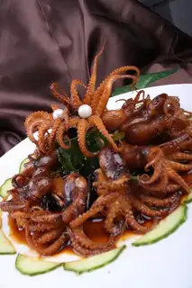 The red octopus