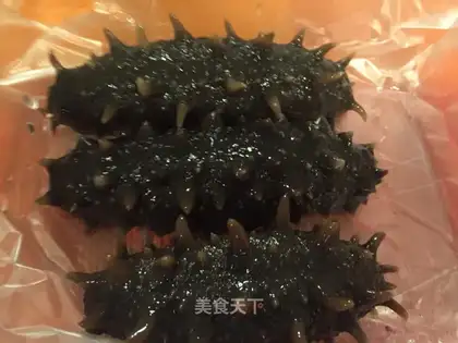 Bubble sea cucumber