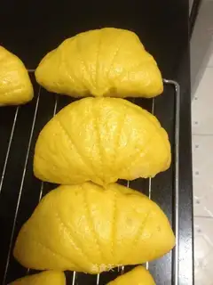 Pumpkin leaf clamps